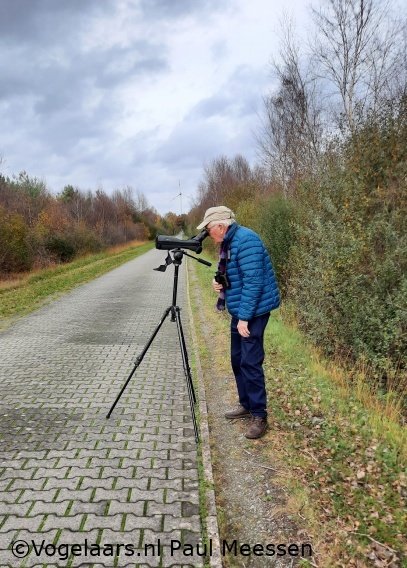 Klapekster